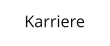 Karriere